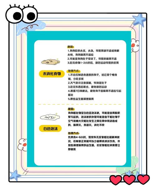 狗狗能吃吗丁啉吗,吗丁啉给狗狗吃行吗?-第4张图片-后鲨宠物 狗狗能吃吗丁啉吗,吗丁啉给狗狗吃行吗?-第4张图片-后鲨宠物