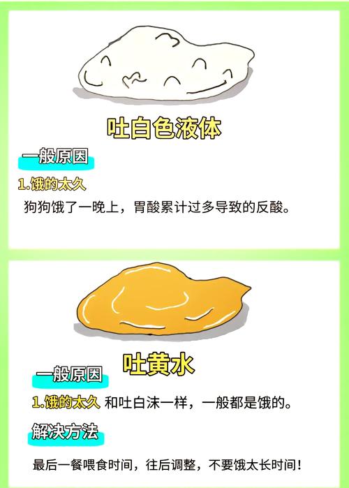 狗狗拉泥状便便怎么办_狗狗拉泥状便便怎么办图片-第3张图片-后鲨宠物 狗狗拉泥状便便怎么办_狗狗拉泥状便便怎么办图片-第3张图片-后鲨宠物