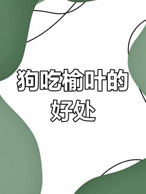 狗狗吃树叶怎么回事,狗狗吃树叶会怎么样?-第1张图片-后鲨宠物 狗狗吃树叶怎么回事,狗狗吃树叶会怎么样?-第1张图片-后鲨宠物