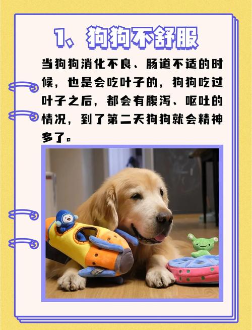 狗狗吃树叶怎么回事,狗狗吃树叶会怎么样?-第3张图片-后鲨宠物 狗狗吃树叶怎么回事,狗狗吃树叶会怎么样?-第3张图片-后鲨宠物