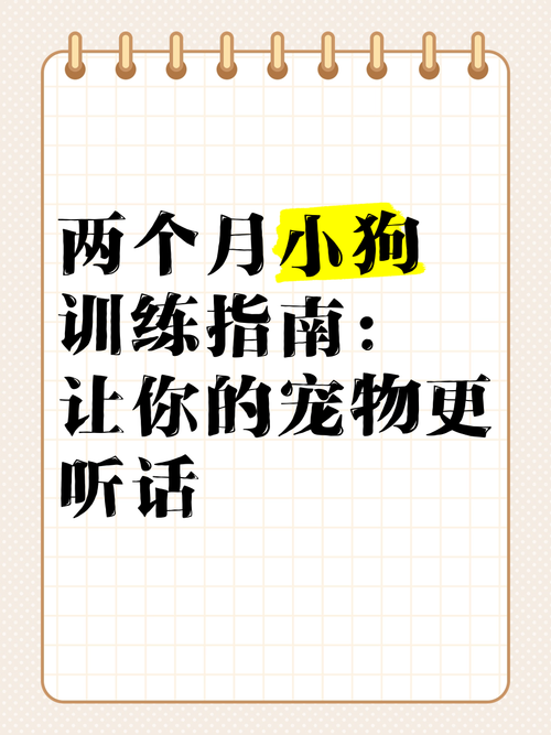 两个月的狗狗怎么训练_两个月的狗狗怎么训练站立走路-第3张图片-后鲨宠物 两个月的狗狗怎么训练_两个月的狗狗怎么训练站立走路-第3张图片-后鲨宠物