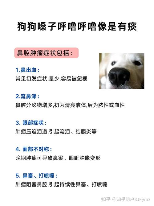 狗狗嗓子有痰怎么去除,狗狗喉咙痰多怎么办?-第2张图片-后鲨宠物 狗狗嗓子有痰怎么去除,狗狗喉咙痰多怎么办?-第2张图片-后鲨宠物