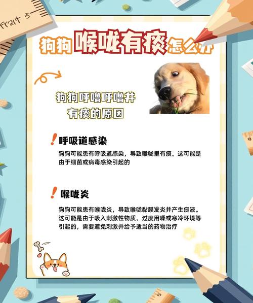 狗狗嗓子有痰怎么去除,狗狗喉咙痰多怎么办?-第3张图片-后鲨宠物 狗狗嗓子有痰怎么去除,狗狗喉咙痰多怎么办?-第3张图片-后鲨宠物