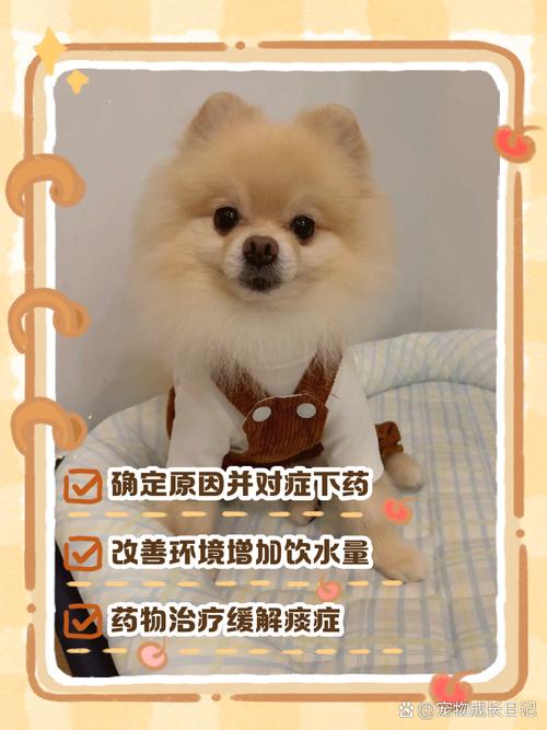 狗狗嗓子有痰怎么去除,狗狗喉咙痰多怎么办?-第4张图片-后鲨宠物 狗狗嗓子有痰怎么去除,狗狗喉咙痰多怎么办?-第4张图片-后鲨宠物