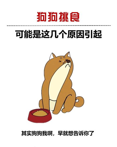 狗狗很挑食怎么办，狗狗挑食怎么办?教你？-第1张图片-后鲨宠物