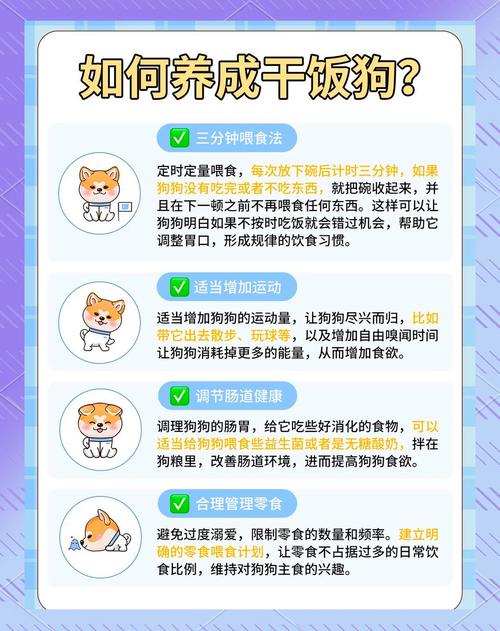 狗狗很挑食怎么办，狗狗挑食怎么办?教你？-第3张图片-后鲨宠物