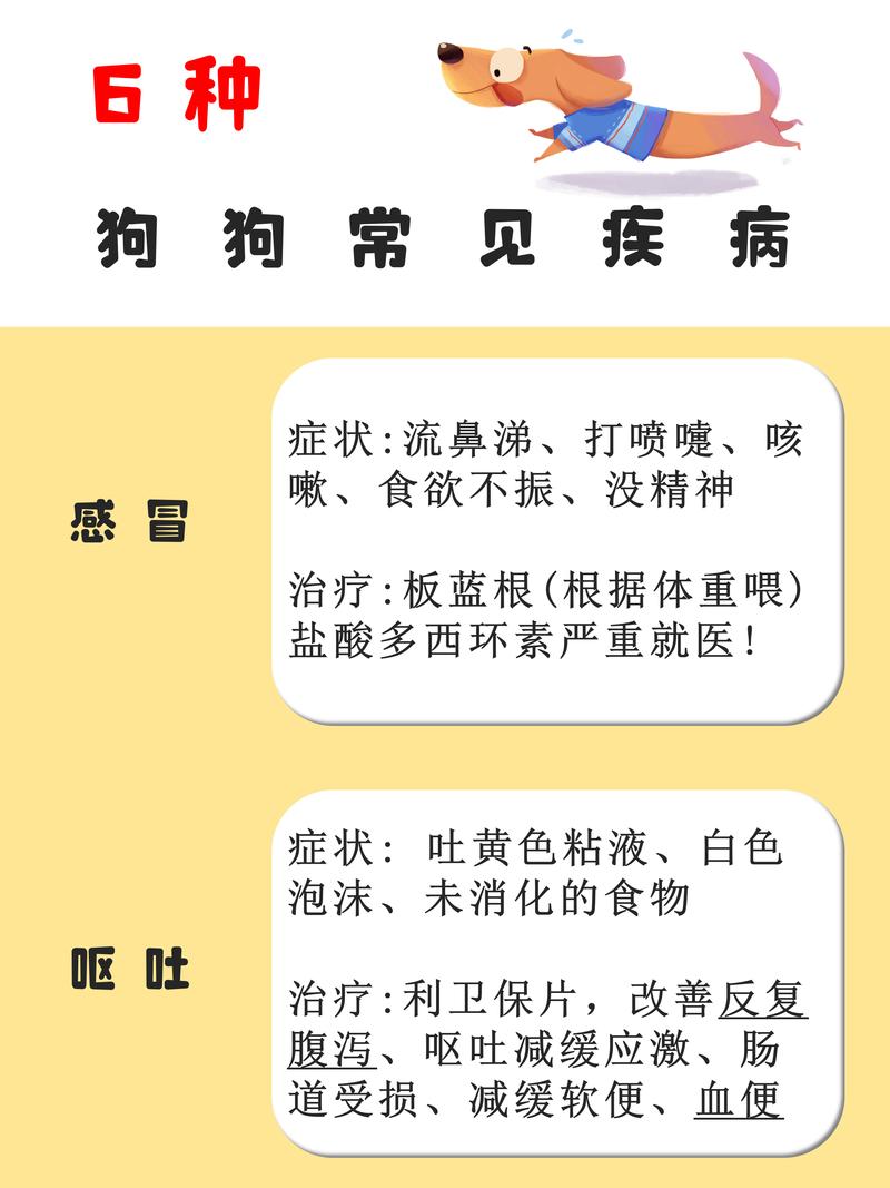 狗狗春天容易得什么病,狗春天会干什么?-第2张图片-后鲨宠物 狗狗春天容易得什么病,狗春天会干什么?-第2张图片-后鲨宠物