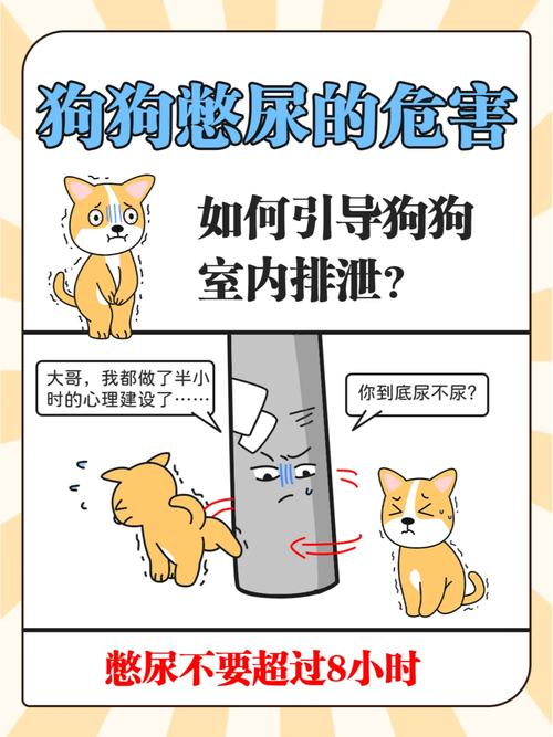  狗狗多大可以憋尿，狗狗多大才可以憋尿-第1张图片-后鲨宠物