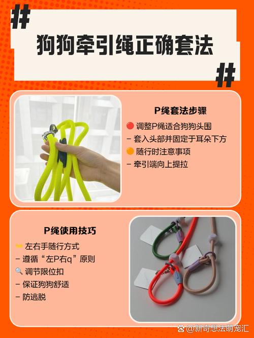 狗狗的牵引绳怎么戴,狗狗牵引绳的戴法-第1张图片-后鲨宠物 狗狗的牵引绳怎么戴,狗狗牵引绳的戴法-第1张图片-后鲨宠物