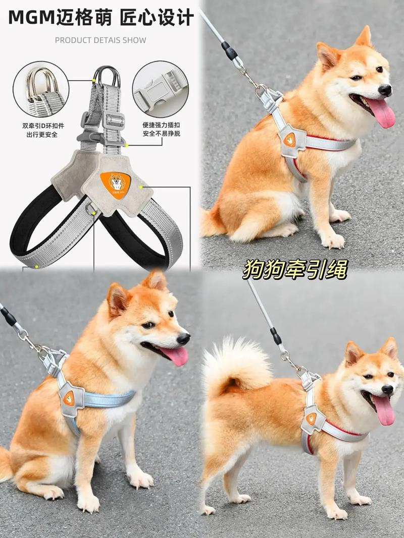 狗狗的牵引绳怎么戴,狗狗牵引绳的戴法-第2张图片-后鲨宠物 狗狗的牵引绳怎么戴,狗狗牵引绳的戴法-第2张图片-后鲨宠物