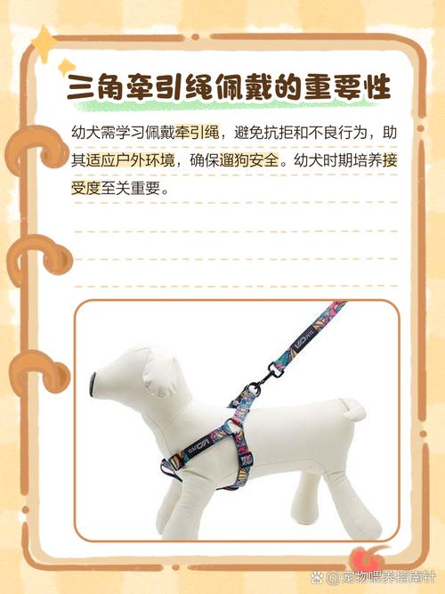 狗狗的牵引绳怎么戴,狗狗牵引绳的戴法-第3张图片-后鲨宠物 狗狗的牵引绳怎么戴,狗狗牵引绳的戴法-第3张图片-后鲨宠物