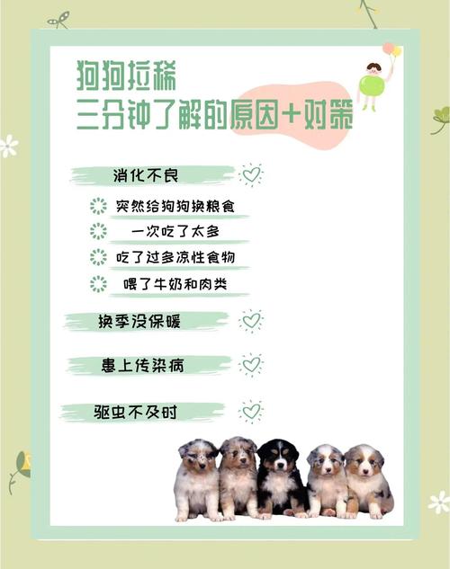 狗狗拉肚子是什么原因_狗狗拉肚子是什么原因?-第3张图片-后鲨宠物 狗狗拉肚子是什么原因_狗狗拉肚子是什么原因?-第3张图片-后鲨宠物