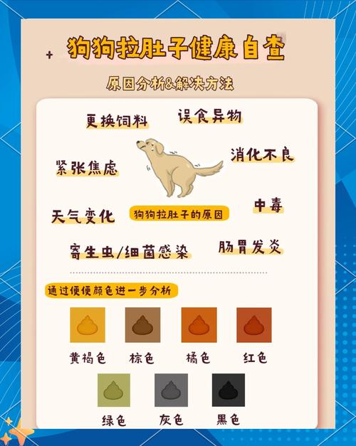 狗狗拉肚子是什么原因_狗狗拉肚子是什么原因?-第5张图片-后鲨宠物 狗狗拉肚子是什么原因_狗狗拉肚子是什么原因?-第5张图片-后鲨宠物