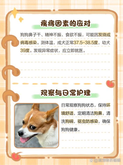 狗狗鼻子干不吃饭怎么回事_狗狗鼻子干不吃饭怎么办-第4张图片-后鲨宠物 狗狗鼻子干不吃饭怎么回事_狗狗鼻子干不吃饭怎么办-第4张图片-后鲨宠物