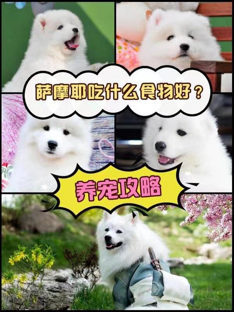 狗狗几个月可以吃蛋黄_狗狗几个月能吃鸡蛋黄-第2张图片-后鲨宠物 狗狗几个月可以吃蛋黄_狗狗几个月能吃鸡蛋黄-第2张图片-后鲨宠物