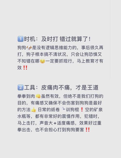 怎样训练狗狗听话,怎样训练狗狗听话的方法-第3张图片-后鲨宠物 怎样训练狗狗听话,怎样训练狗狗听话的方法-第3张图片-后鲨宠物