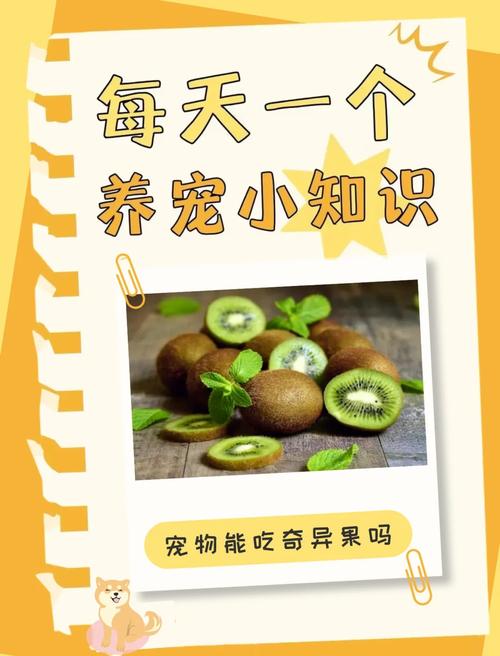 狗狗可以吃猕猴桃吗,狗狗前十禁忌水果?-第1张图片-后鲨宠物 狗狗可以吃猕猴桃吗,狗狗前十禁忌水果?-第1张图片-后鲨宠物