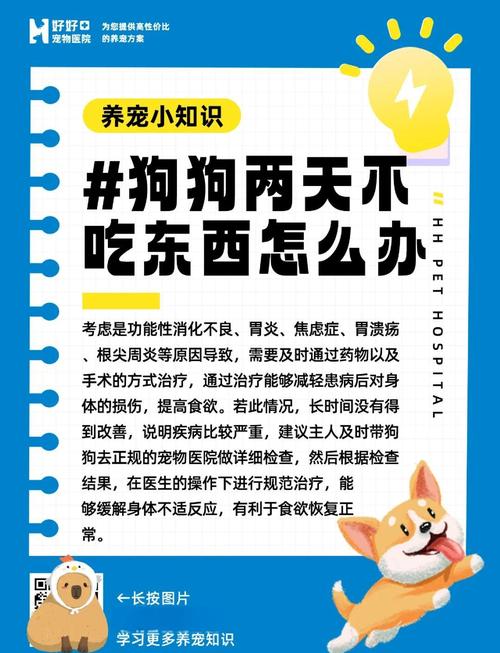 狗狗不吃东西怎么办_我家狗狗不吃东西怎么办-第1张图片-后鲨宠物 狗狗不吃东西怎么办_我家狗狗不吃东西怎么办-第1张图片-后鲨宠物