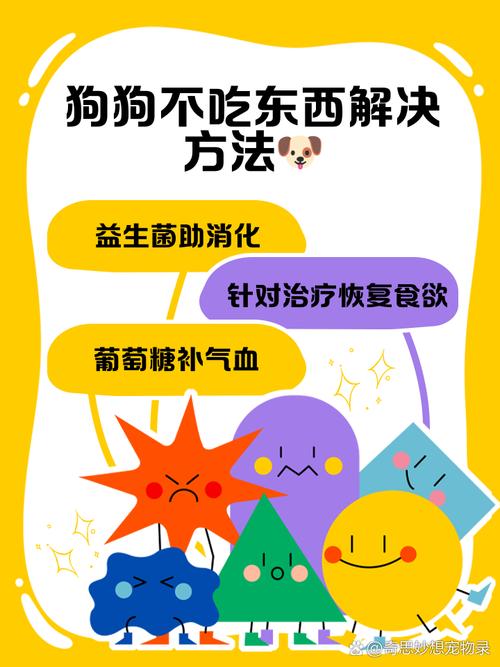 狗狗不吃东西怎么办_我家狗狗不吃东西怎么办-第2张图片-后鲨宠物 狗狗不吃东西怎么办_我家狗狗不吃东西怎么办-第2张图片-后鲨宠物