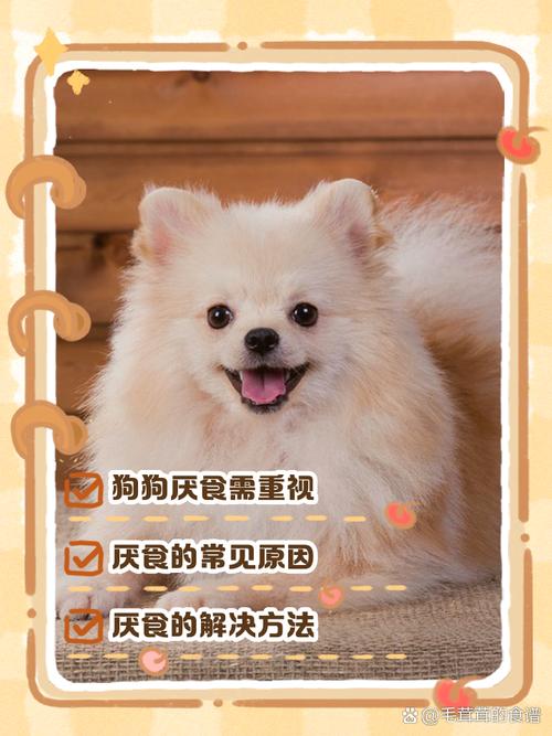 狗狗不吃东西怎么办_我家狗狗不吃东西怎么办-第3张图片-后鲨宠物 狗狗不吃东西怎么办_我家狗狗不吃东西怎么办-第3张图片-后鲨宠物