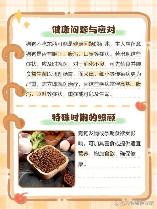 狗狗不吃东西怎么办_我家狗狗不吃东西怎么办-第5张图片-后鲨宠物 狗狗不吃东西怎么办_我家狗狗不吃东西怎么办-第5张图片-后鲨宠物