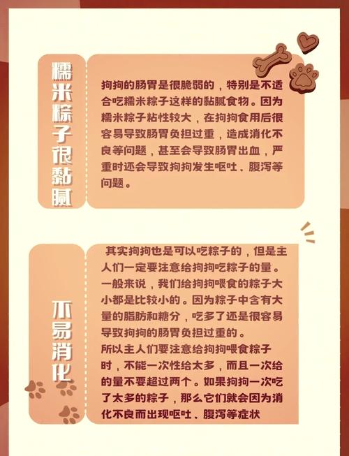 狗狗可以吃粽子吗,狗狗能吃粽子吗转疯了?-第2张图片-后鲨宠物 狗狗可以吃粽子吗,狗狗能吃粽子吗转疯了?-第2张图片-后鲨宠物