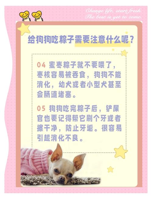 狗狗可以吃粽子吗,狗狗能吃粽子吗转疯了?-第3张图片-后鲨宠物 狗狗可以吃粽子吗,狗狗能吃粽子吗转疯了?-第3张图片-后鲨宠物