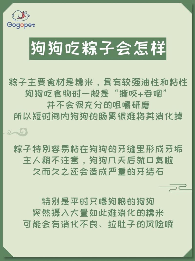狗狗可以吃粽子吗,狗狗能吃粽子吗转疯了?-第4张图片-后鲨宠物 狗狗可以吃粽子吗,狗狗能吃粽子吗转疯了?-第4张图片-后鲨宠物