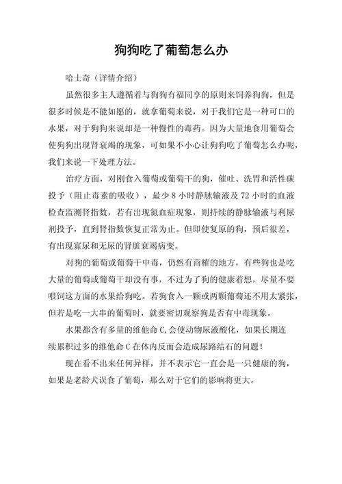 狗狗吃了葡萄怎么办,狗狗吃了葡萄怎么办有解药吗-第5张图片-后鲨宠物 狗狗吃了葡萄怎么办,狗狗吃了葡萄怎么办有解药吗-第5张图片-后鲨宠物