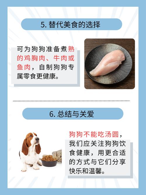 狗狗能吃汤圆吗,狗儿能吃汤圆吗?-第5张图片-后鲨宠物 狗狗能吃汤圆吗,狗儿能吃汤圆吗?-第5张图片-后鲨宠物