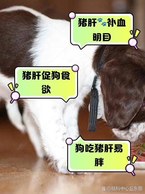 狗狗能吃猪肝吗,狗狗吃猪肝一次喂多少-第6张图片-后鲨宠物 狗狗能吃猪肝吗,狗狗吃猪肝一次喂多少-第6张图片-后鲨宠物