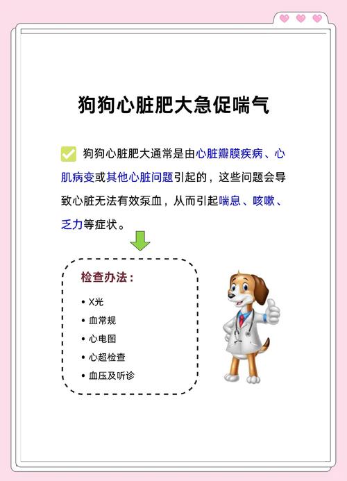 狗狗气喘的厉害怎么办_狗狗气喘很厉害怎么办-第1张图片-后鲨宠物 狗狗气喘的厉害怎么办_狗狗气喘很厉害怎么办-第1张图片-后鲨宠物