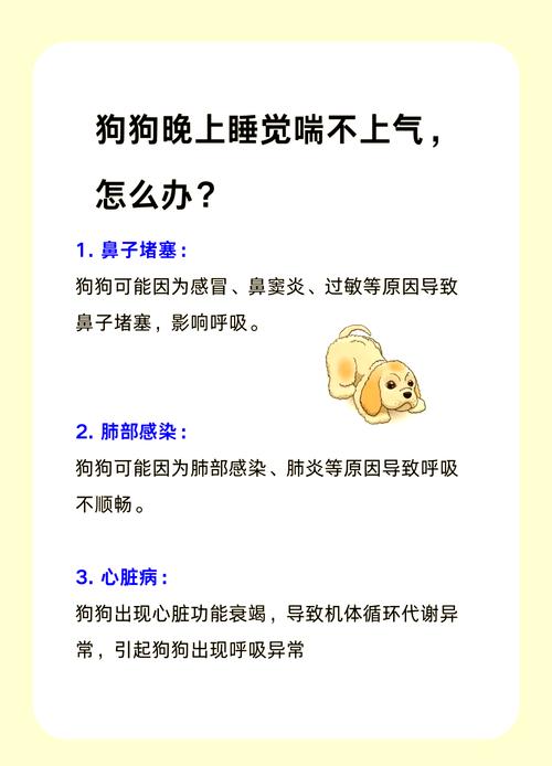 狗狗气喘的厉害怎么办_狗狗气喘很厉害怎么办-第2张图片-后鲨宠物 狗狗气喘的厉害怎么办_狗狗气喘很厉害怎么办-第2张图片-后鲨宠物