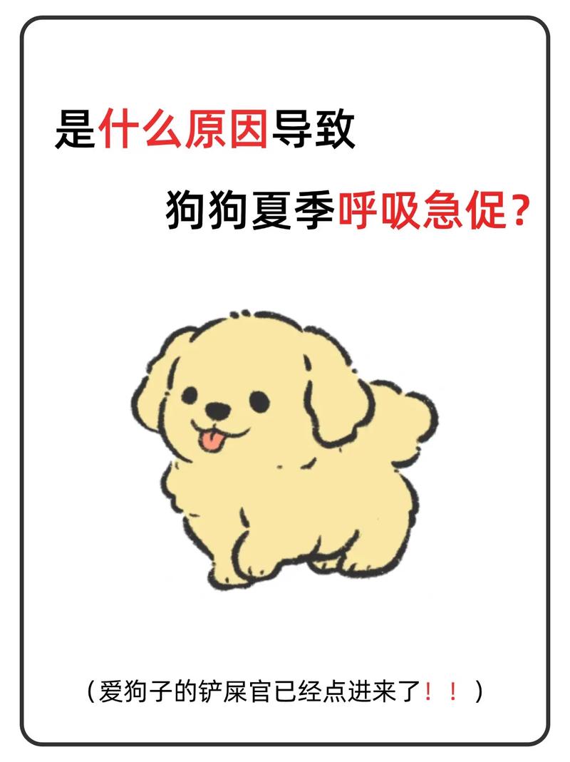 狗狗气喘的厉害怎么办_狗狗气喘很厉害怎么办-第5张图片-后鲨宠物 狗狗气喘的厉害怎么办_狗狗气喘很厉害怎么办-第5张图片-后鲨宠物