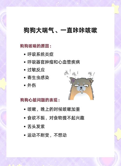 狗狗气喘的厉害怎么办_狗狗气喘很厉害怎么办-第6张图片-后鲨宠物 狗狗气喘的厉害怎么办_狗狗气喘很厉害怎么办-第6张图片-后鲨宠物