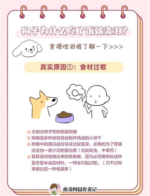 狗狗哭是什么原因,狗狗哭怎么办?-第5张图片-后鲨宠物 狗狗哭是什么原因,狗狗哭怎么办?-第5张图片-后鲨宠物