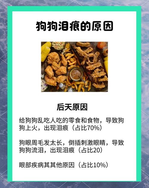 狗狗哭是什么原因,狗狗哭怎么办?-第6张图片-后鲨宠物 狗狗哭是什么原因,狗狗哭怎么办?-第6张图片-后鲨宠物