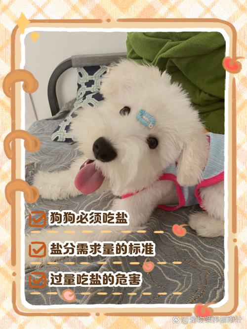 狗狗可以喝盐水吗,狗狗能喝盐水或者糖水吗?-第2张图片-后鲨宠物 狗狗可以喝盐水吗,狗狗能喝盐水或者糖水吗?-第2张图片-后鲨宠物