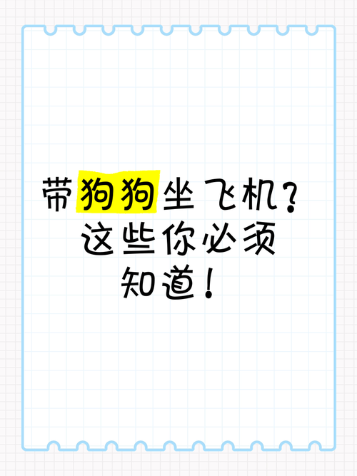 狗狗能带上飞机吗,狗狗可不可以带上飞机-第2张图片-后鲨宠物 狗狗能带上飞机吗,狗狗可不可以带上飞机-第2张图片-后鲨宠物