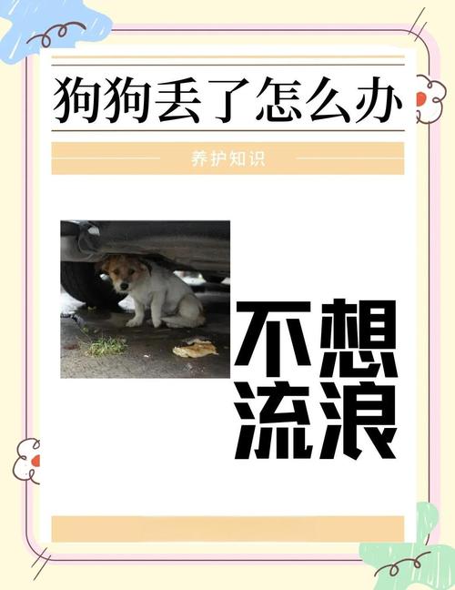 狗狗丢失如何找回，狗狗丢了千万不能找？-第2张图片-后鲨宠物