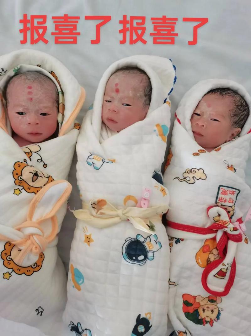 三胞胎狗狗名字大全,三胞胎狗狗取名-第1张图片-后鲨宠物 三胞胎狗狗名字大全,三胞胎狗狗取名-第1张图片-后鲨宠物