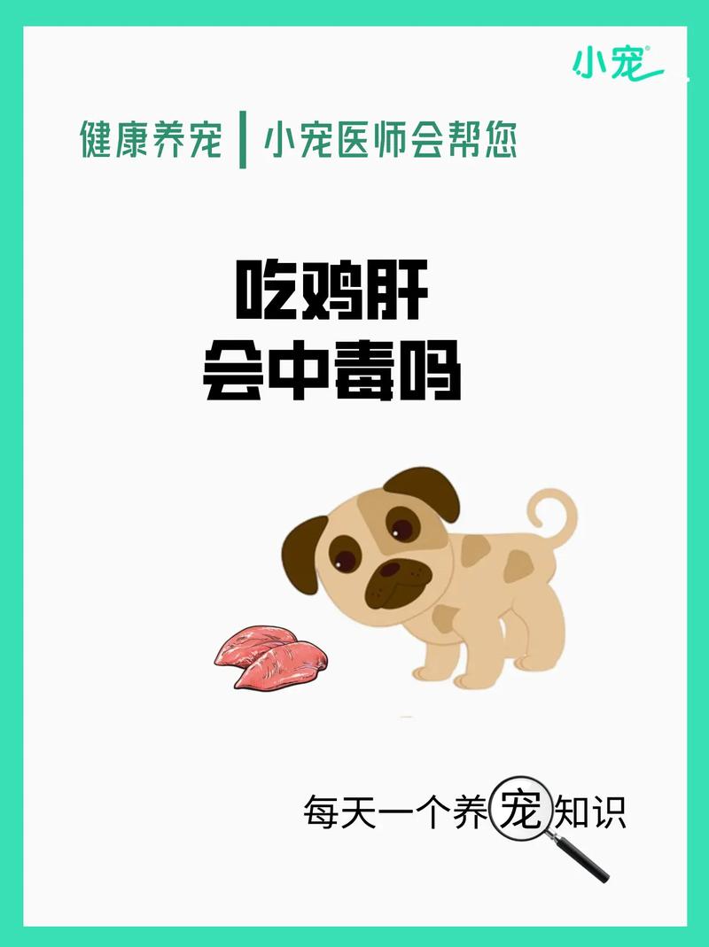 狗狗能喝鸡汤吗_狗狗能喝鸡汤吗有营养吗-第6张图片-后鲨宠物 狗狗能喝鸡汤吗_狗狗能喝鸡汤吗有营养吗-第6张图片-后鲨宠物