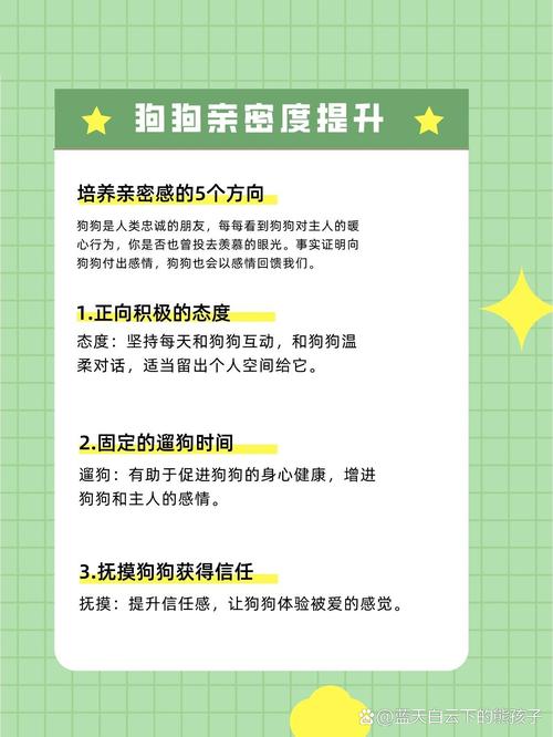如何跟狗狗培养感情,如何跟狗快速培养感情-第1张图片-后鲨宠物 如何跟狗狗培养感情,如何跟狗快速培养感情-第1张图片-后鲨宠物