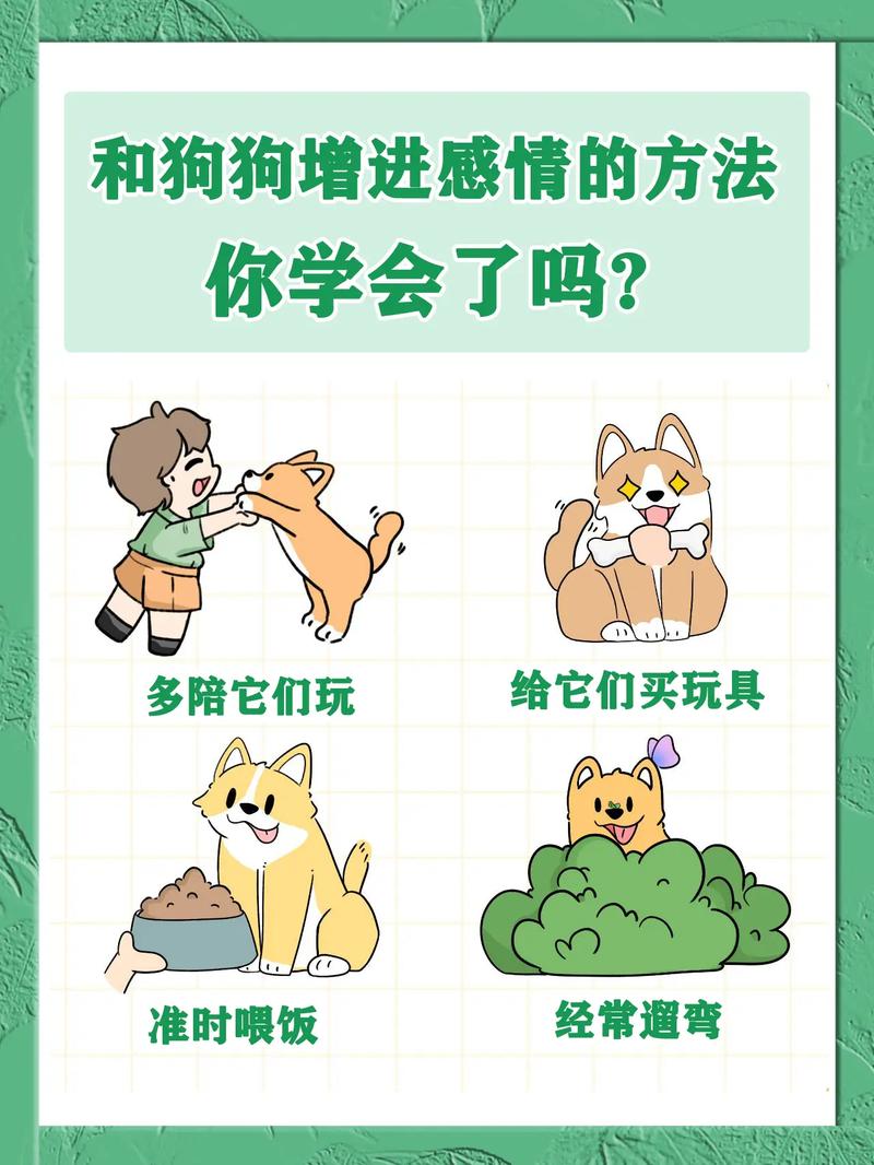 如何跟狗狗培养感情,如何跟狗快速培养感情-第4张图片-后鲨宠物 如何跟狗狗培养感情,如何跟狗快速培养感情-第4张图片-后鲨宠物