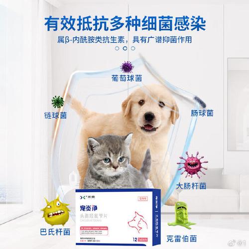 狗狗能吃消炎药吗,狗狗可以吃消炎药么-第3张图片-后鲨宠物 狗狗能吃消炎药吗,狗狗可以吃消炎药么-第3张图片-后鲨宠物