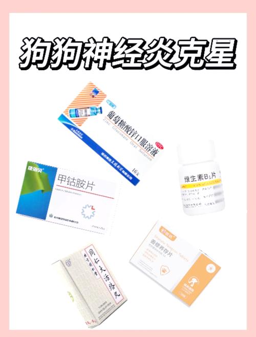 狗狗能吃消炎药吗,狗狗可以吃消炎药么-第4张图片-后鲨宠物 狗狗能吃消炎药吗,狗狗可以吃消炎药么-第4张图片-后鲨宠物