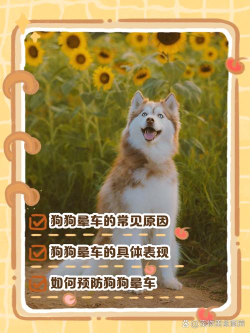 狗狗会不会晕车,狗狗会晕车吗-第1张图片-后鲨宠物 狗狗会不会晕车,狗狗会晕车吗-第1张图片-后鲨宠物