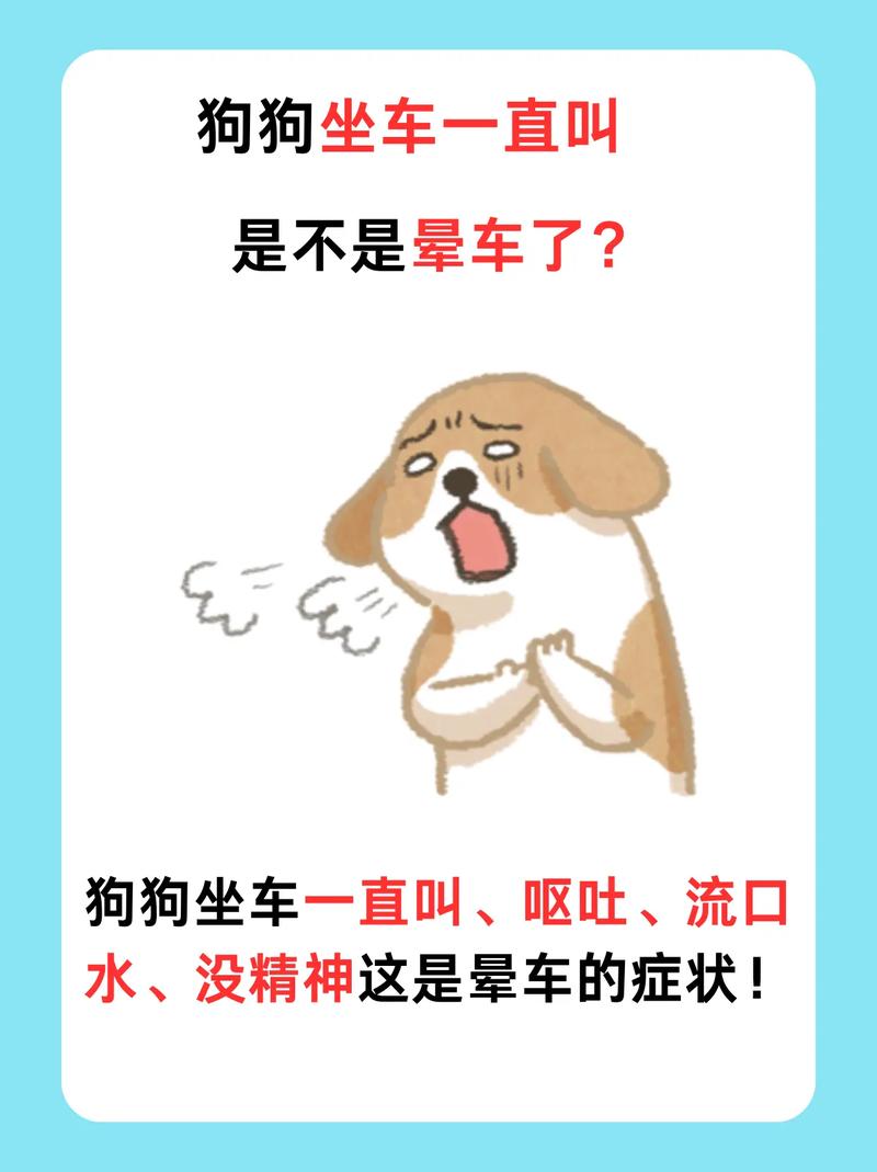 狗狗会不会晕车,狗狗会晕车吗-第6张图片-后鲨宠物 狗狗会不会晕车,狗狗会晕车吗-第6张图片-后鲨宠物