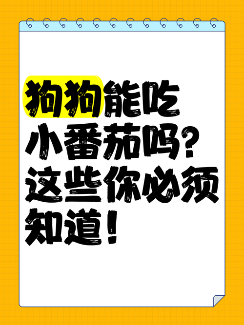 狗狗可以吃小西红柿吗,狗狗能吃小西红柿么-第6张图片-后鲨宠物 狗狗可以吃小西红柿吗,狗狗能吃小西红柿么-第6张图片-后鲨宠物