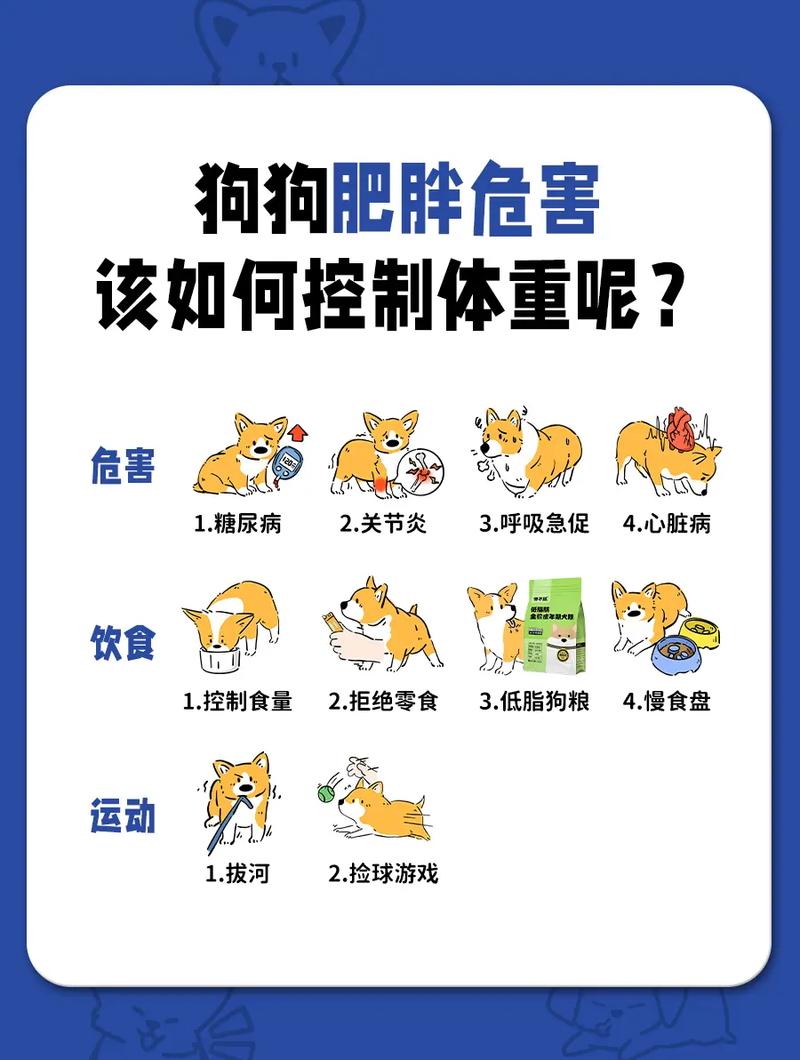 怎么给狗狗减肥,狗狗吃什么能增肥最快-第3张图片-后鲨宠物 怎么给狗狗减肥,狗狗吃什么能增肥最快-第3张图片-后鲨宠物